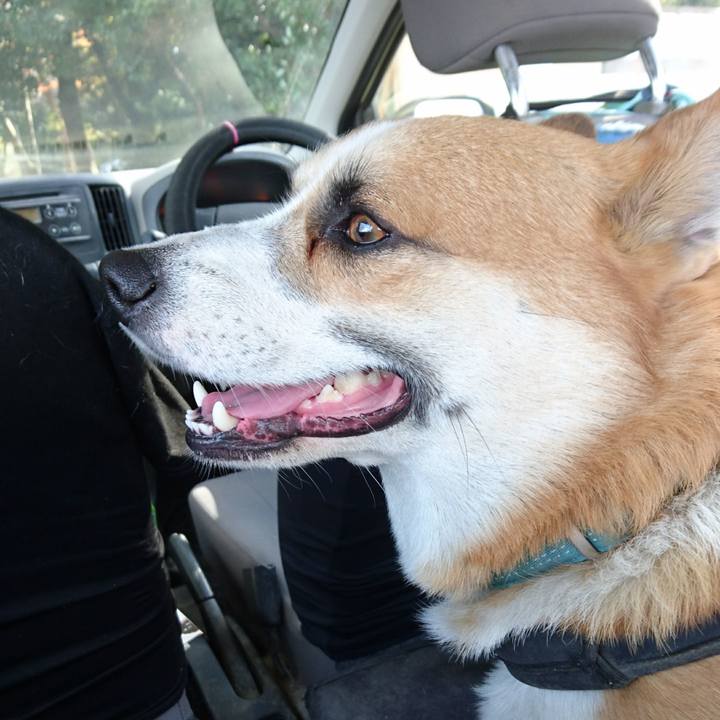 73935fba e7c9 465d 8584 1529f9fcb5fa 1638400593276