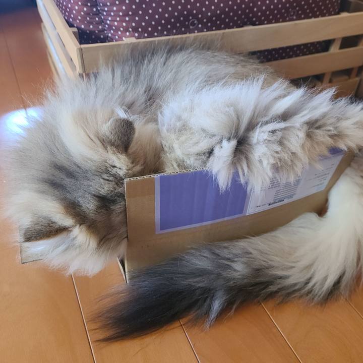 7393c7b5 faeb 402c 9e17 1e6ac8a7fb53 1612343899253