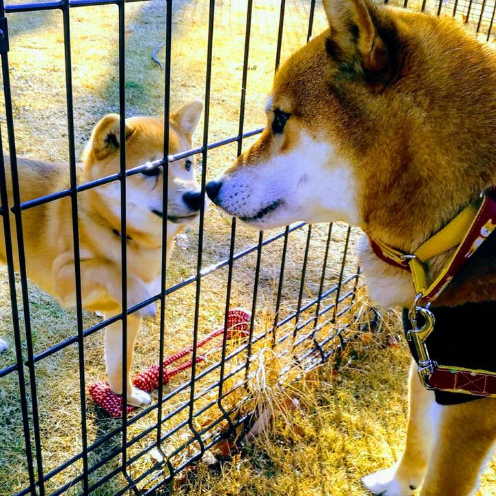 7393c8a7 7ba8 4b2d a4fa d34692d25c45 1518327744092