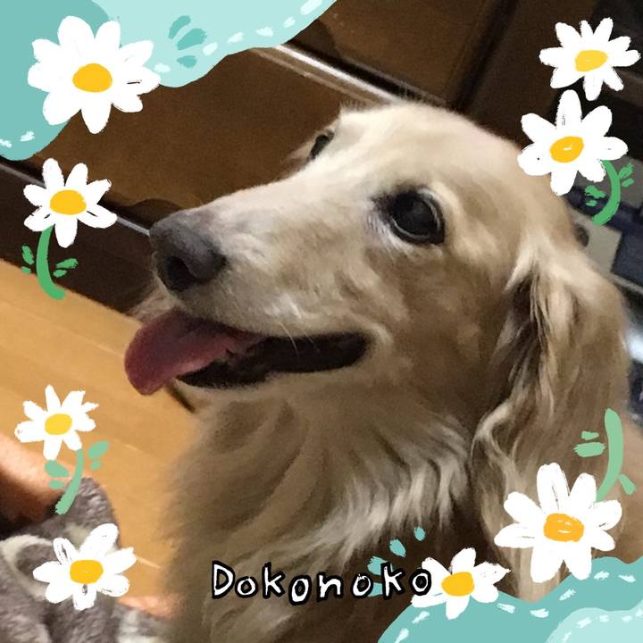 7393e792 e2c1 4788 8fc2 d2089ca1ac64 1712563234379