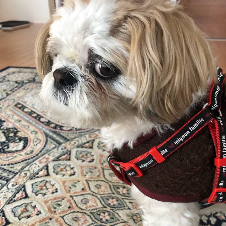 7393ef96 1ad5 4905 b684 5ce95f533b5f 1551303744443