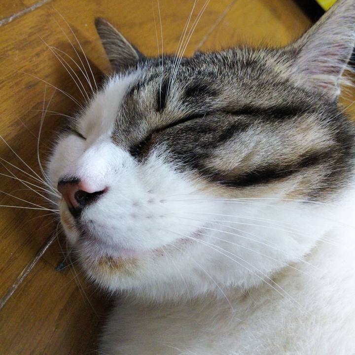 73942deb b50c 435c 9440 52566befd19a 1650982254932