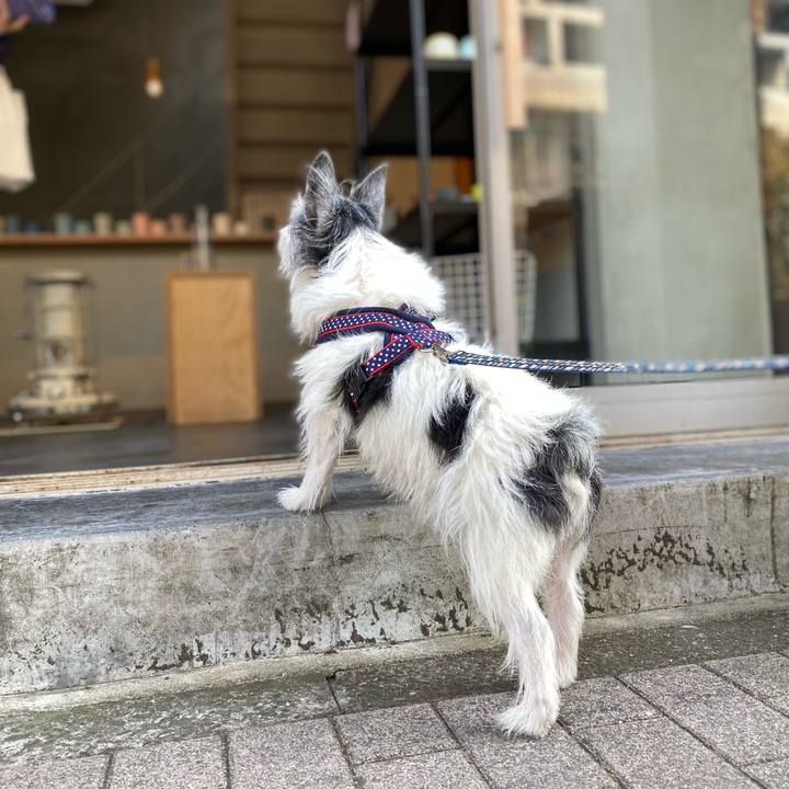 73944307 1d40 4e46 82f8 cef13bd76692 1612704352882