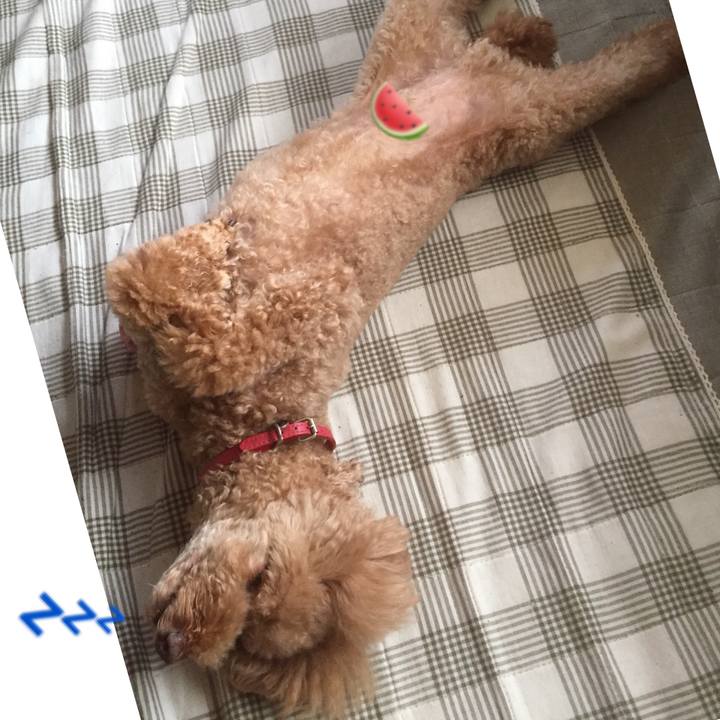 7394e1ad 7e71 4e32 8806 1af0dbf4e96f 1534745727131