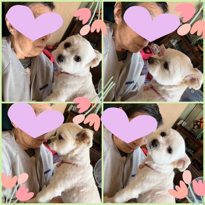 73951250 5aef 49ba 9533 bb31a79022a8 1588647442300