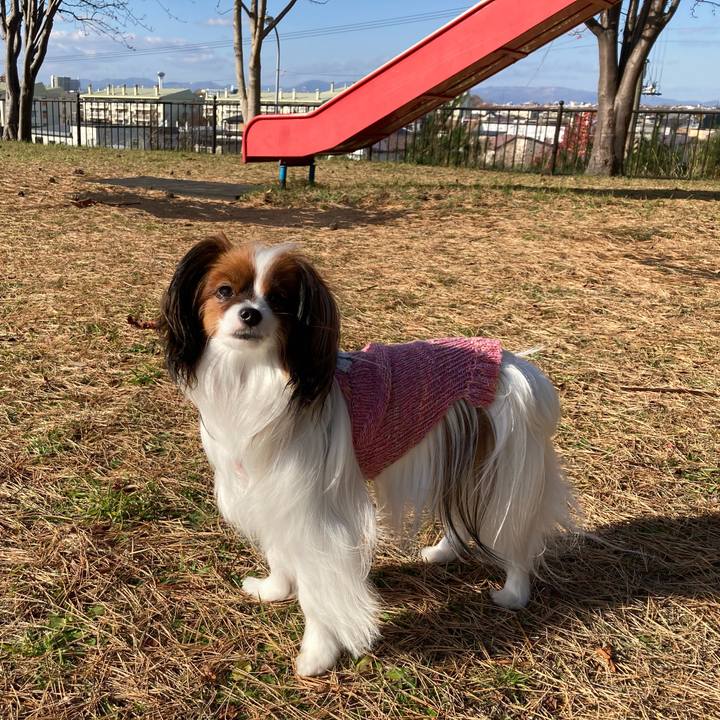 7395477f a527 4e80 8b3c a435c4987014 1637123124795