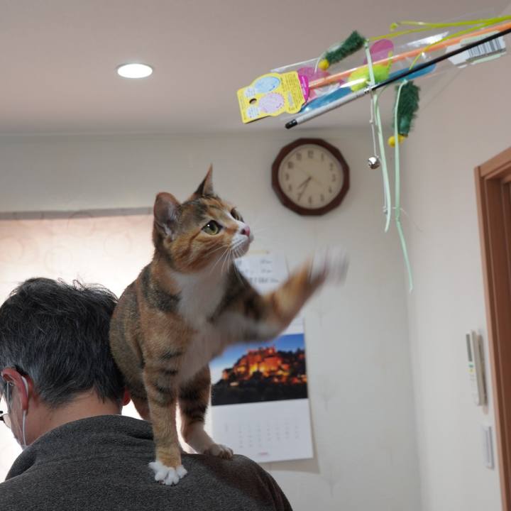 73955514 e9d3 4577 b75b a80812cb5c8a 1585871701097