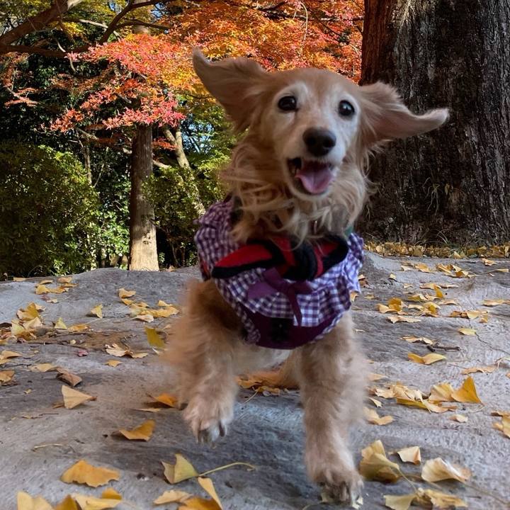 73955e41 99f9 4506 b355 41aa4cae5634 1763344451951