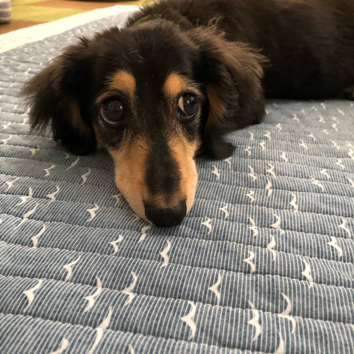 739569ad c0d3 4e1c abf9 b85e007f73c7 1592192082685