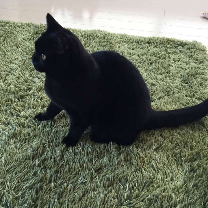 73957cd8 db6c 49a9 9bbb 4b65ebadd4d0 1513033037432