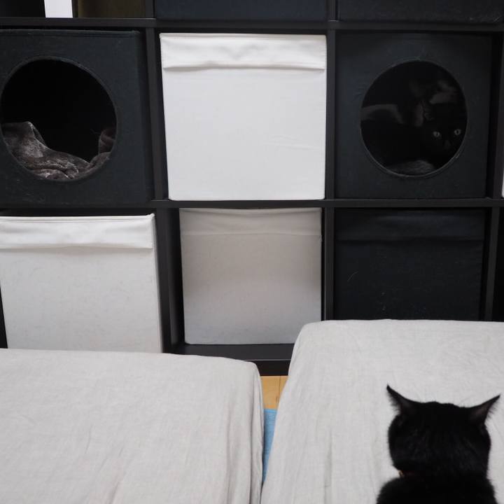 73958a38 6134 4813 b27d 4059b046935f 1537013231986