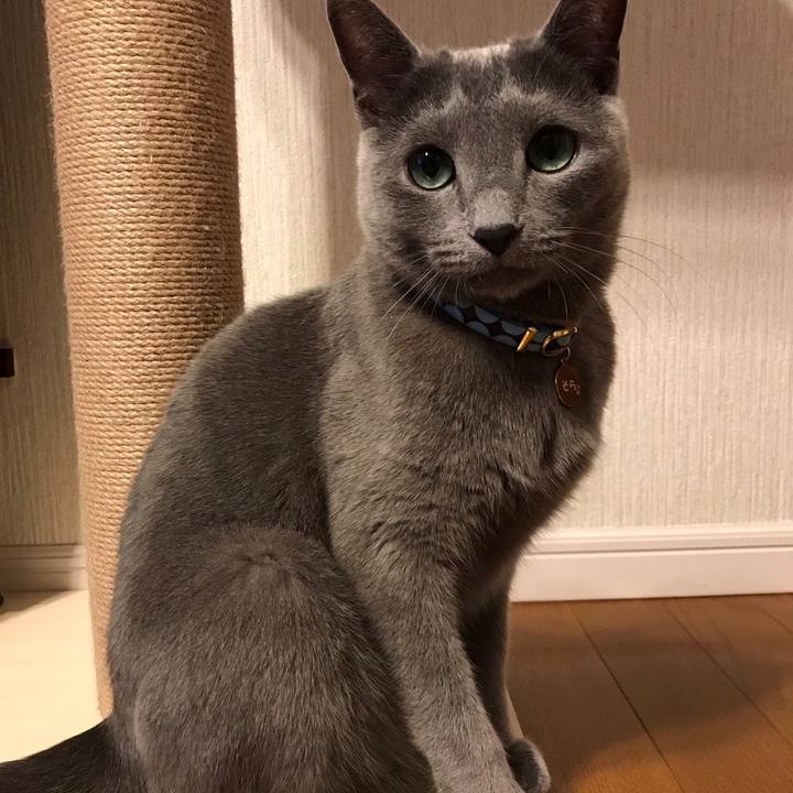 73959f50 0a5d 471e a9f0 b86a6af9752a 1611875981056