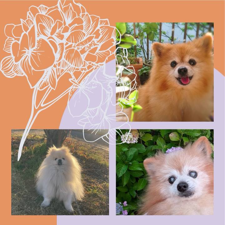 7395a049 8762 43fe 8994 d8a81c3892eb 1739188071194