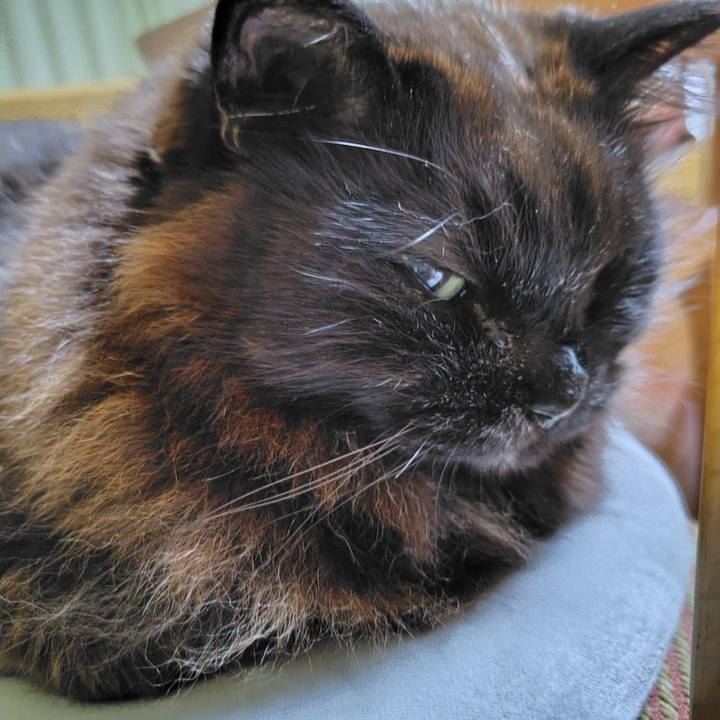 7395a79c 750b 4a18 b0fc 22f0cd2d8c3d 1714741815903