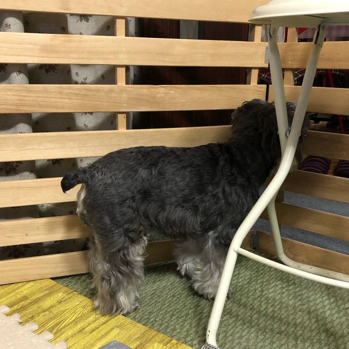 7395c50e 6acd 4db8 98a5 8258924715b9 1618844244907