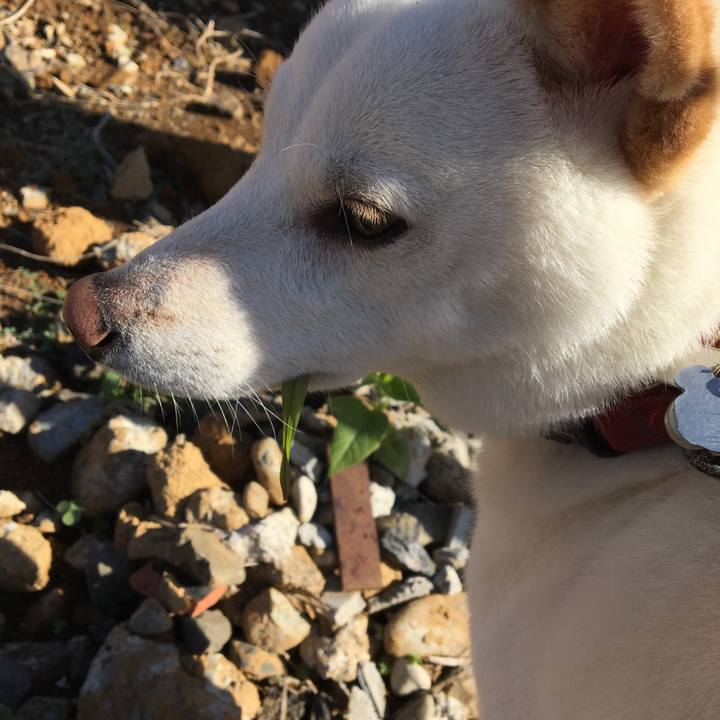 7395cbad 7c77 4958 bba4 a35f155da719 1543570287543