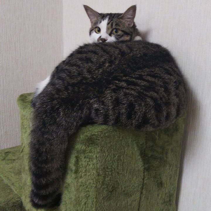 7395d75a 1b47 42f9 b4f1 86bb7e2ce546 1626937656529