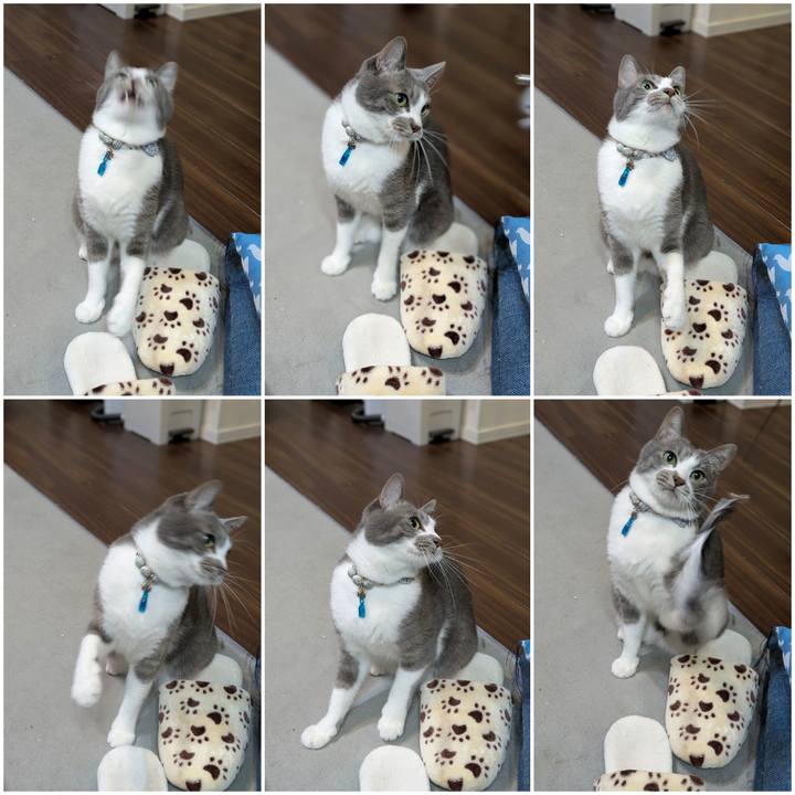 7395e835 7203 45d8 9d06 7529889ffbdb 1763288205128