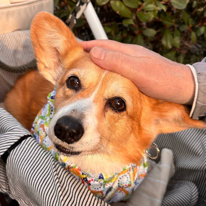 73966f9f 5a82 4abd b958 4878167299ce 1772759262078