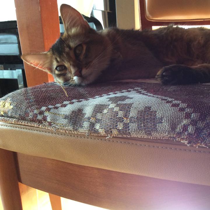 73967ae3 c128 4cb9 9628 53356a4d8476 1564985558989