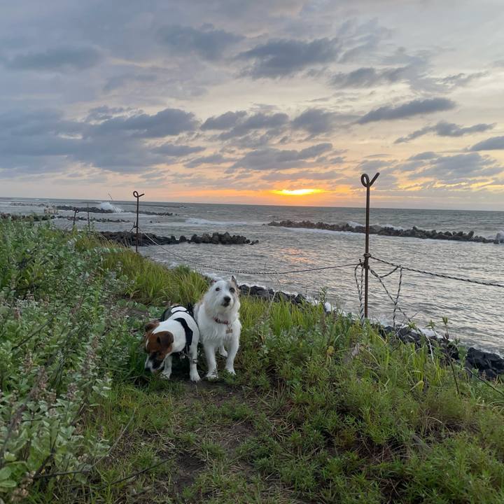 73967eae 5a4b 41ee 9ec8 cb6a1d873127 1788947788726