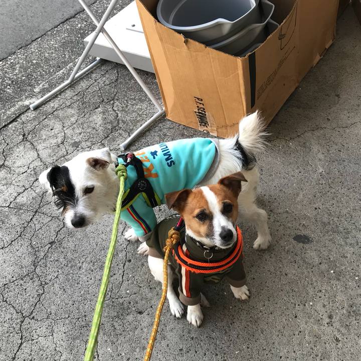 7396a295 1647 4c88 9d52 8f34abc098d2 1519463086771