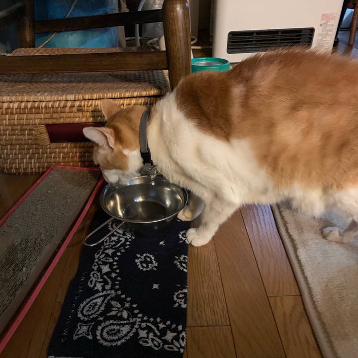 7396a295 4825 48a3 a108 2428d030d38f 1549409083256