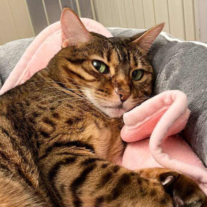 7396b988 f9b2 44a0 a5d6 2c8b98aeeacb 1636349738060