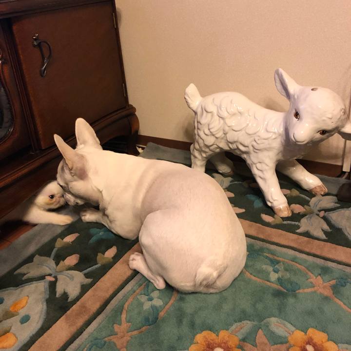 7396f49b 2db5 4dfc a5c4 bb32a7c4e596 1542974936516