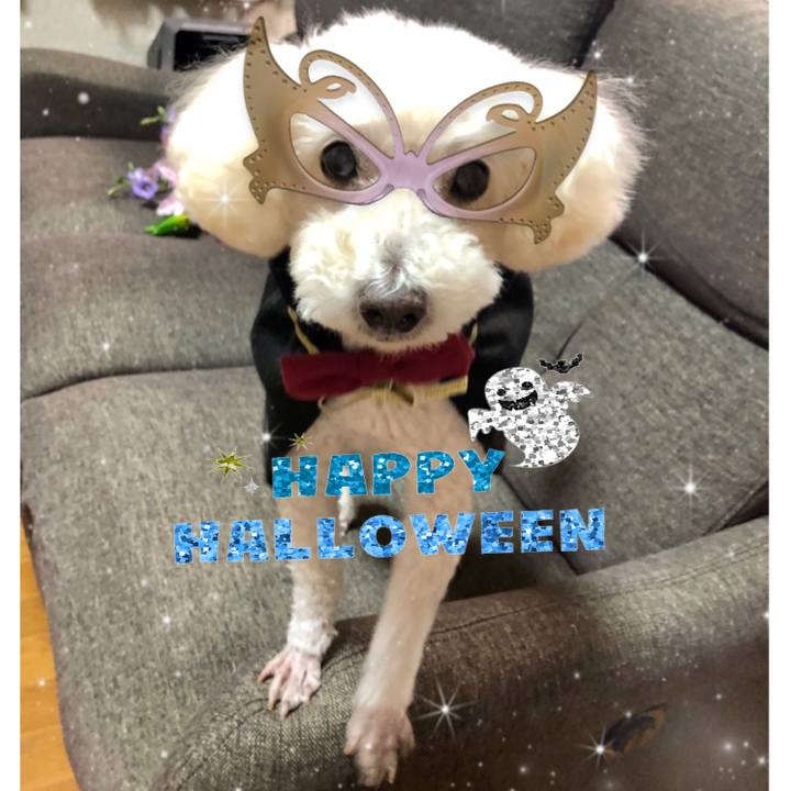 73971902 ab3b 43b3 8147 391a21b94644 1540989788403