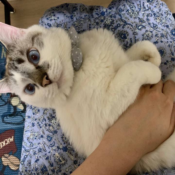 73971cc3 2ce2 46ff 9bd5 702edc4a5a1d 1590455366127