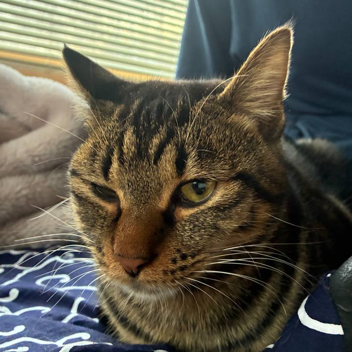 739751fe 0496 48f6 a036 6e4d3a7edb79 1763418700437