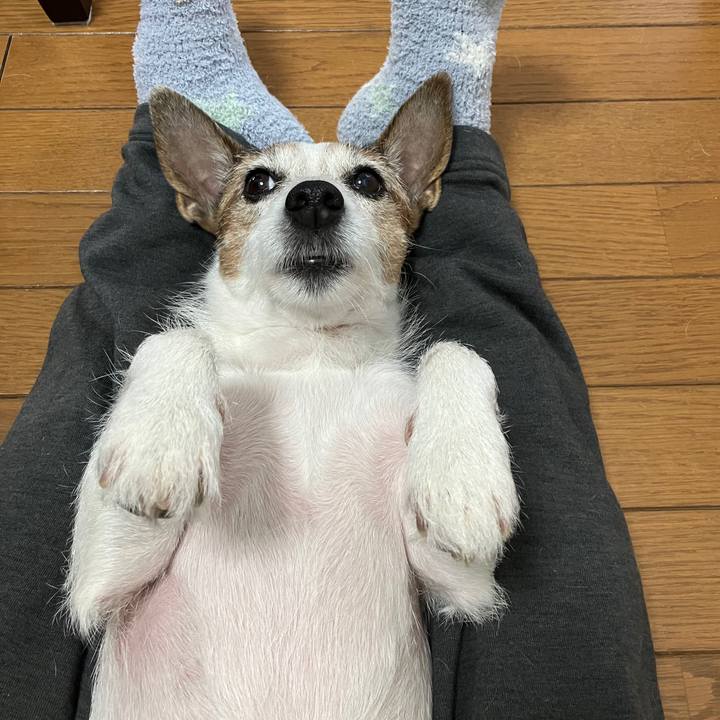 7397544f 956e 401b b44f ef8386d2eceb 1698362913626