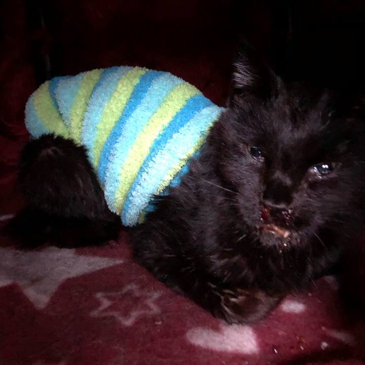 739776b0 06a4 4238 8c8a ae435f3be251 1647465969107