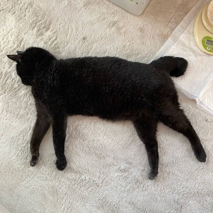 73978188 9ec5 42f1 8bcd 98db80d00934 1663230202422