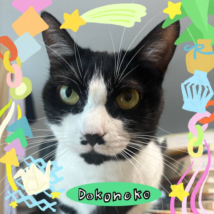 7397edad ae72 4acb be09 903074298d2a 1755050642634