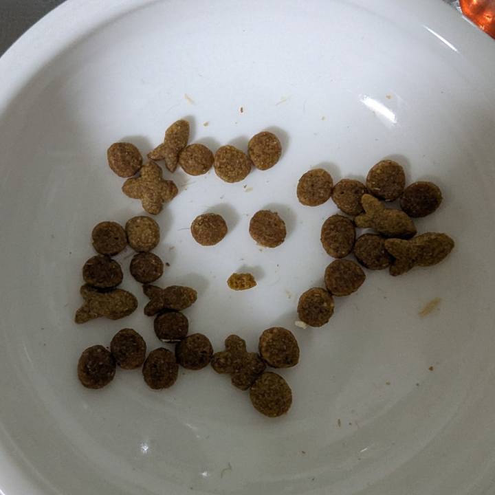 7397f1b9 a97a 4aab 822a 45078c7132a3 1749454851032