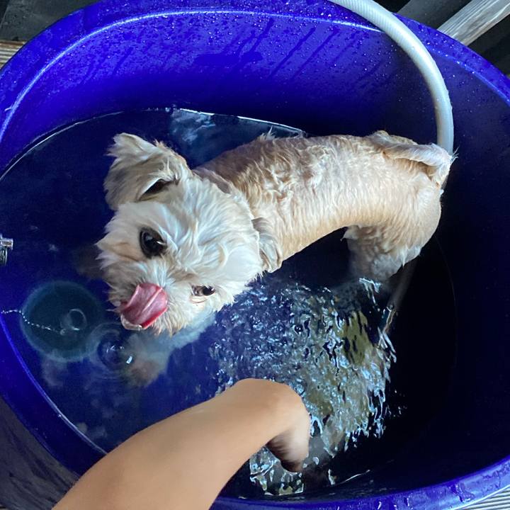 7397f843 bc6c 498a b3cf e81be03851d4 1601196003565