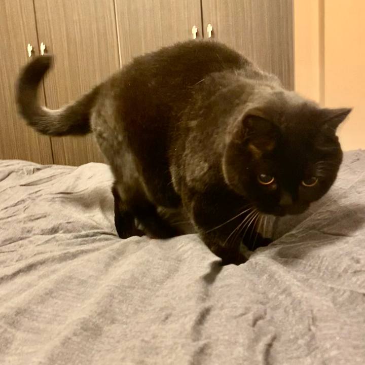 739836bf cd4c 49d8 a397 65a232b065ce 1766149505258