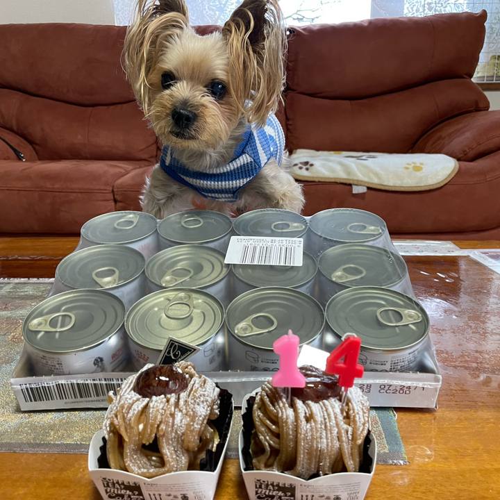 73986004 6b44 4bd6 81d2 26e07593eece 1639213354482