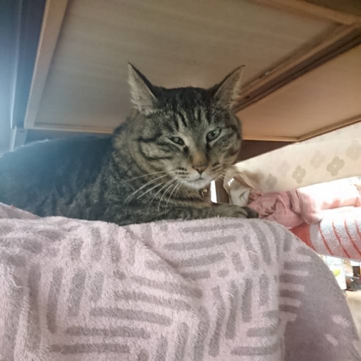 73987748 9e73 4de8 90b9 dab0941ca91b 1649143492257