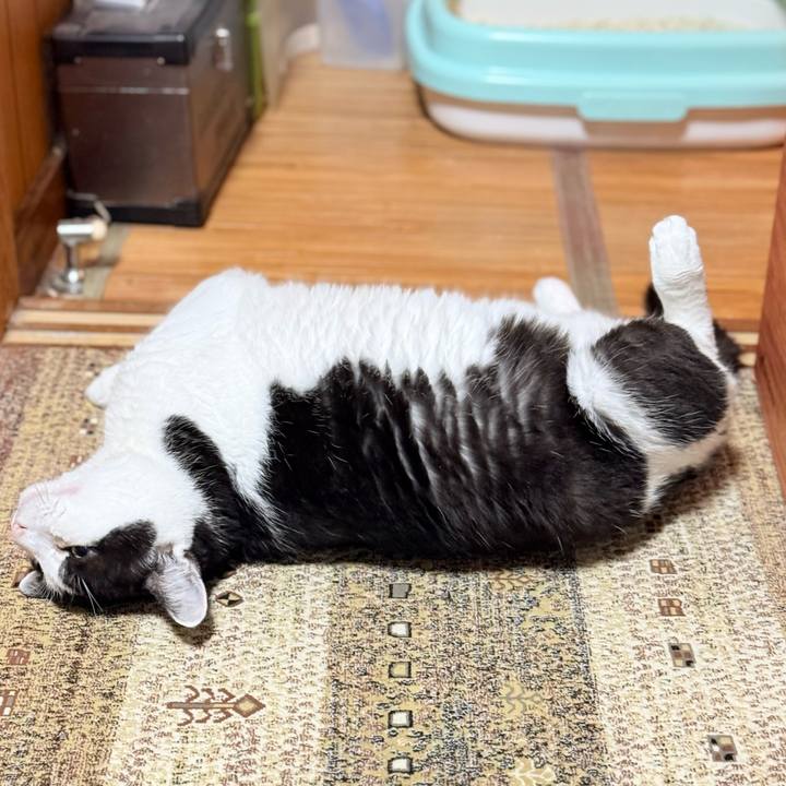 7398b749 0f7a 4c5a a0ed ad17f89b3fc5 1760059474608