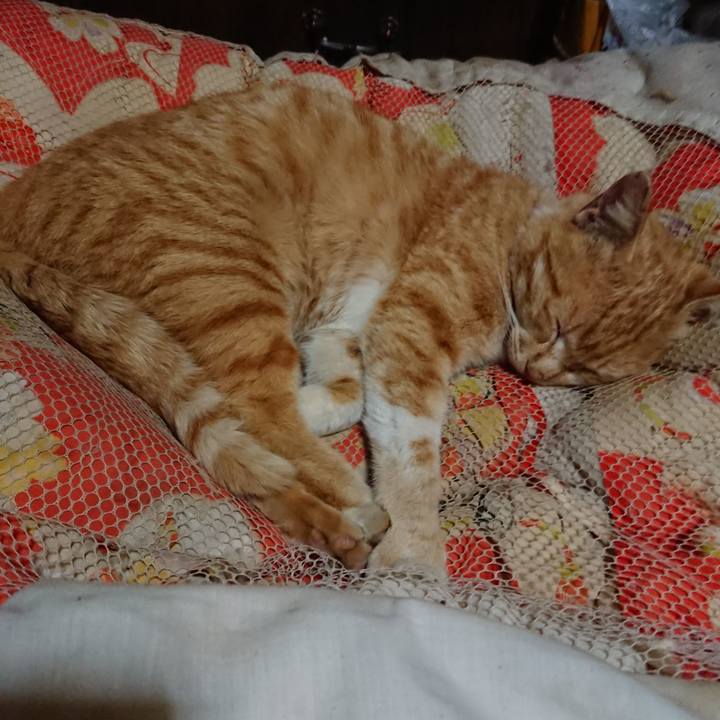 7398ea05 dab4 4883 91c9 99c38fc4e233 1555503019996