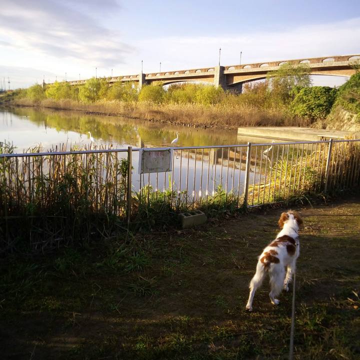 7398feac b058 4be4 9f47 c73d8097e4f0 1511570047846