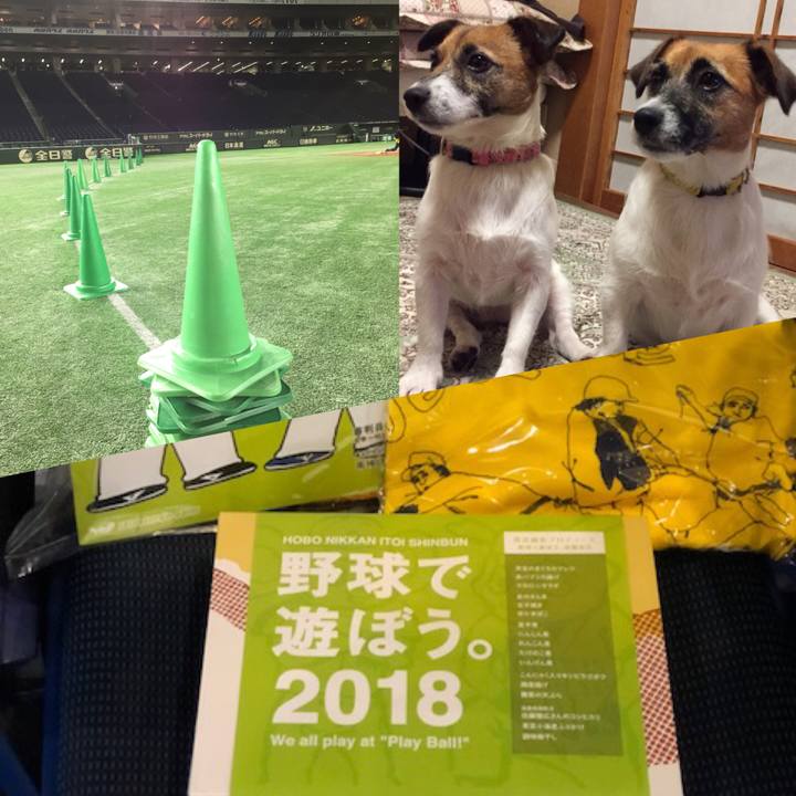 7398ffcc 35a6 446a 992c 37ee3d02f312 1534573777673