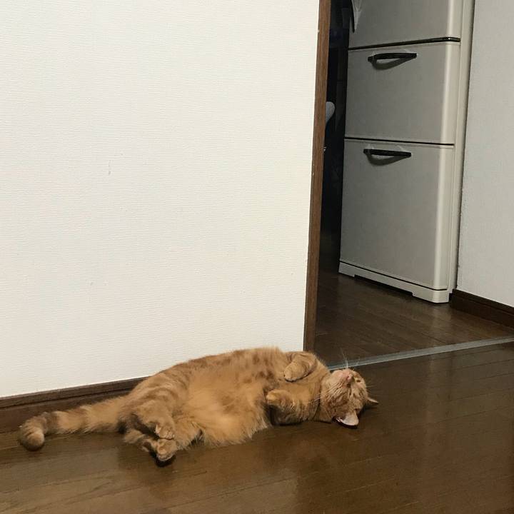 73990e10 52f9 44fd bb9d ac2e5a1eaee4 1535783349105