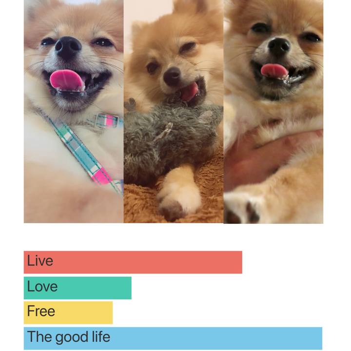 73992c16 d6fc 47ea 9a2d 6b64fa5cc8ff 1518612093607