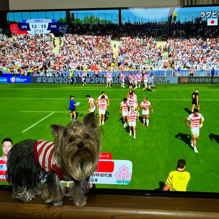 73999b77 c86a 4325 808b 6b850041cb1d 1696765582171