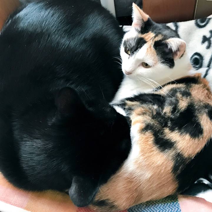 7399a872 e602 4d76 ab46 7e68ef103081 1510584788197