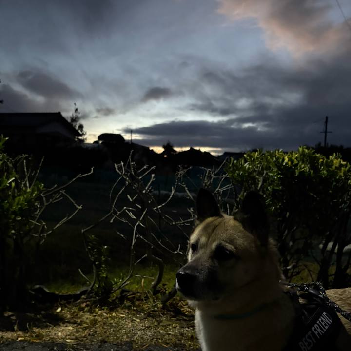 7399d531 43eb 4474 b306 2ace49412cc4 1734611556983